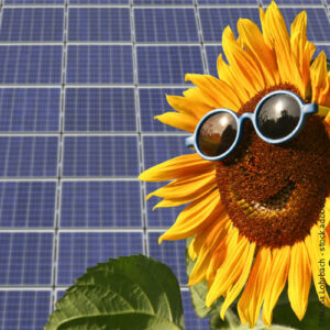 Photovoltaikanlagen: Was ist steuerlich zu beachten?